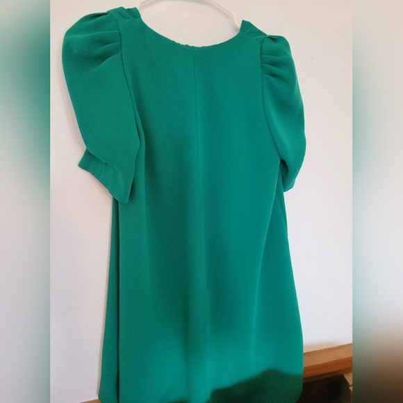 🎉SALE!!!🎉 Zara Puff Sleeve Mini Dress😍💗 - Picture 3 of 5